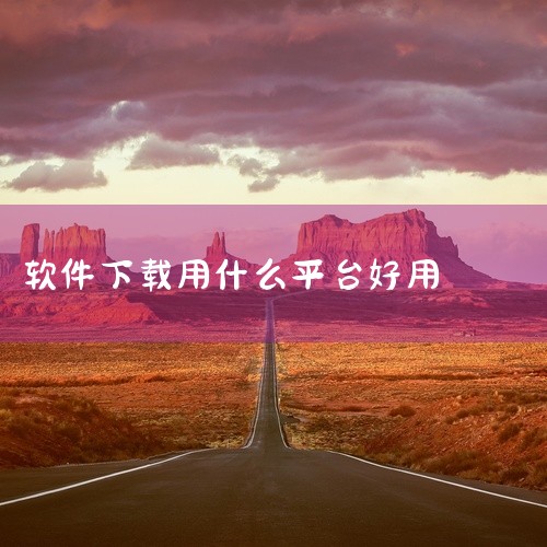 360软件管家：软件管理功能强大，不仅可方便地下载和安装软件，还能对已安装的软件进行卸载、更新等操作。操作便捷性极高，用户可通过简单操作完成复杂的软件管理任务。数据安全方面，360有知名的安全防护技术,