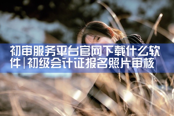 初审服务平台官网下载什么软件