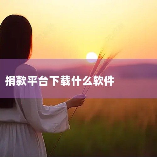 轻松筹是大平台，筹款没有手续费。轻松筹全球5.5亿用户信任的全民健康保障平台。2、水滴筹水滴筹是由北京纵情向前科技有限公司的沈鹏于2016年6月创立的一款国内免费大病社交筹款工具，国内网络大病筹款0手,